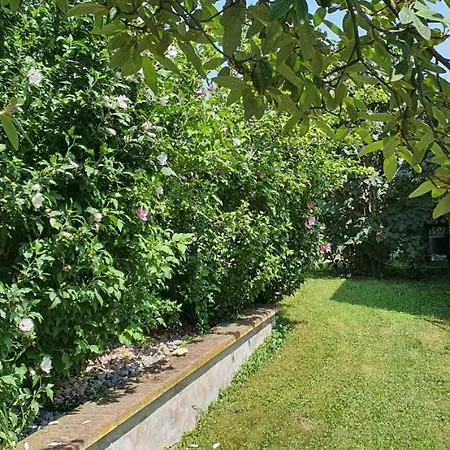 別荘 Maison De Avec Piscine, Proche Strasbourg Et Europa Park *
