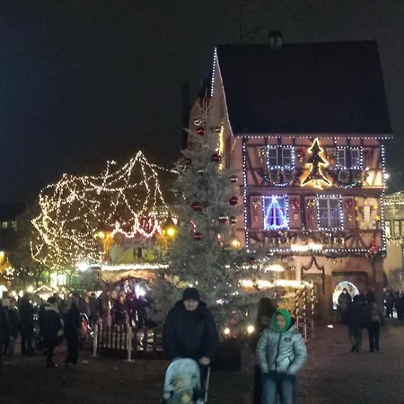 Ferienhaus Maison De Vacances Avec Piscine, Proche Strasbourg Et Europa Park *