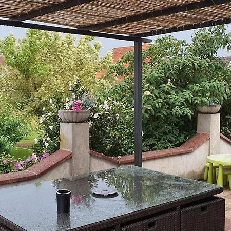 別荘 Maison De Proche Strasbourg Et Europa Park