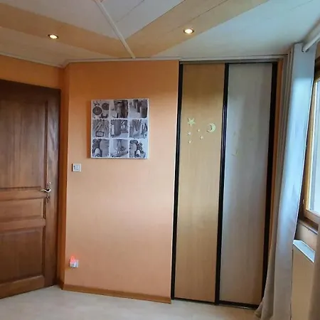 Maison De Proche Strasbourg Et Europa Park *