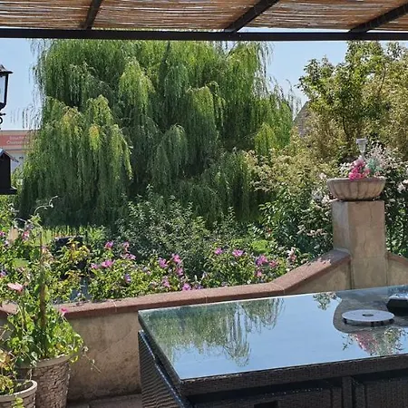 펜션 Maison De Avec Piscine, Proche Strasbourg Et Europa Park Sand