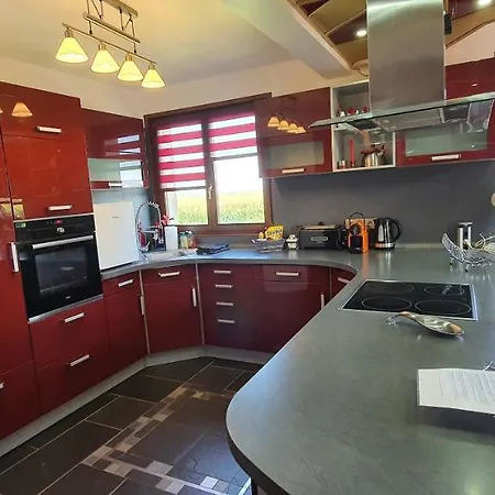 別荘 Maison De Proche Strasbourg Et Europa Park