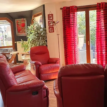 펜션 Maison De Avec Piscine, Proche Strasbourg Et Europa Park Sand