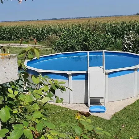 Maison De Avec Piscine, Proche Strasbourg Et Europa Park * Sand